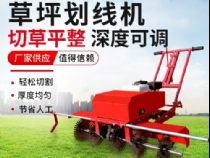 點(diǎn)擊查看詳細(xì)信息<br>標(biāo)題：草皮劃線機(jī) 閱讀次數(shù)：2198